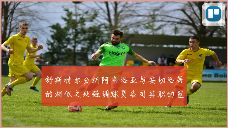 舒斯特尔分析阿韦洛亚与安切洛蒂的相似之处强调球员各司其职的重要性